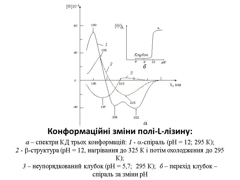 Конформаційні зміни полі-L-лізину:  а – спектри КД трьох конформацій: 1 - -спіраль (рН